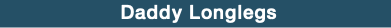 &nbsp;Daddy Longlegs